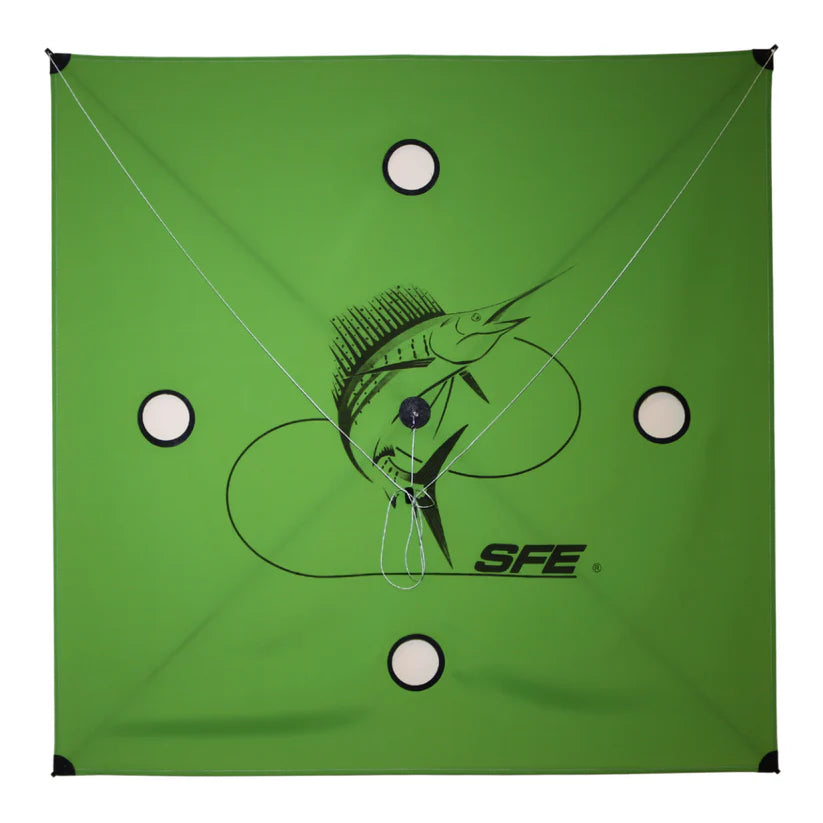 SFE Kites