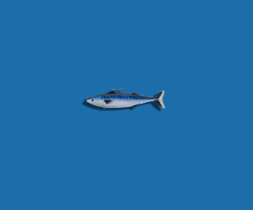 atlantic mackerel fishing lures Live Target Atlantic Mackerel