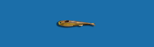 No Live Bait Needed NLBN Mini Mullet 4"