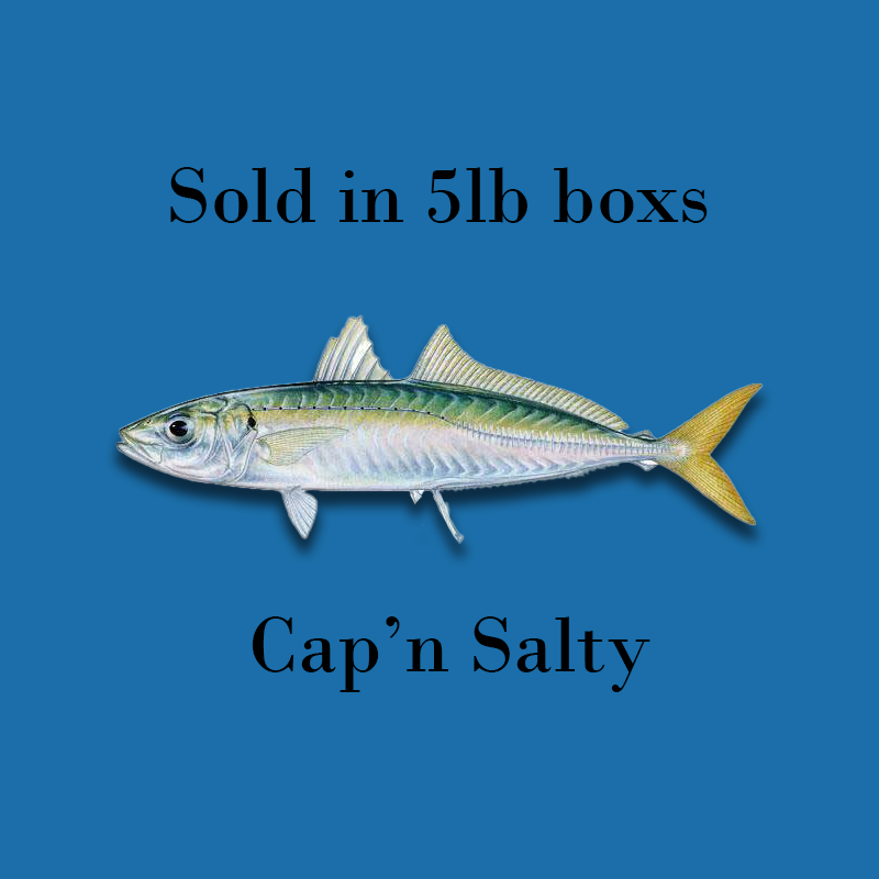Cigar Minnows (5 lb) Cigar Minnows (5 lb)