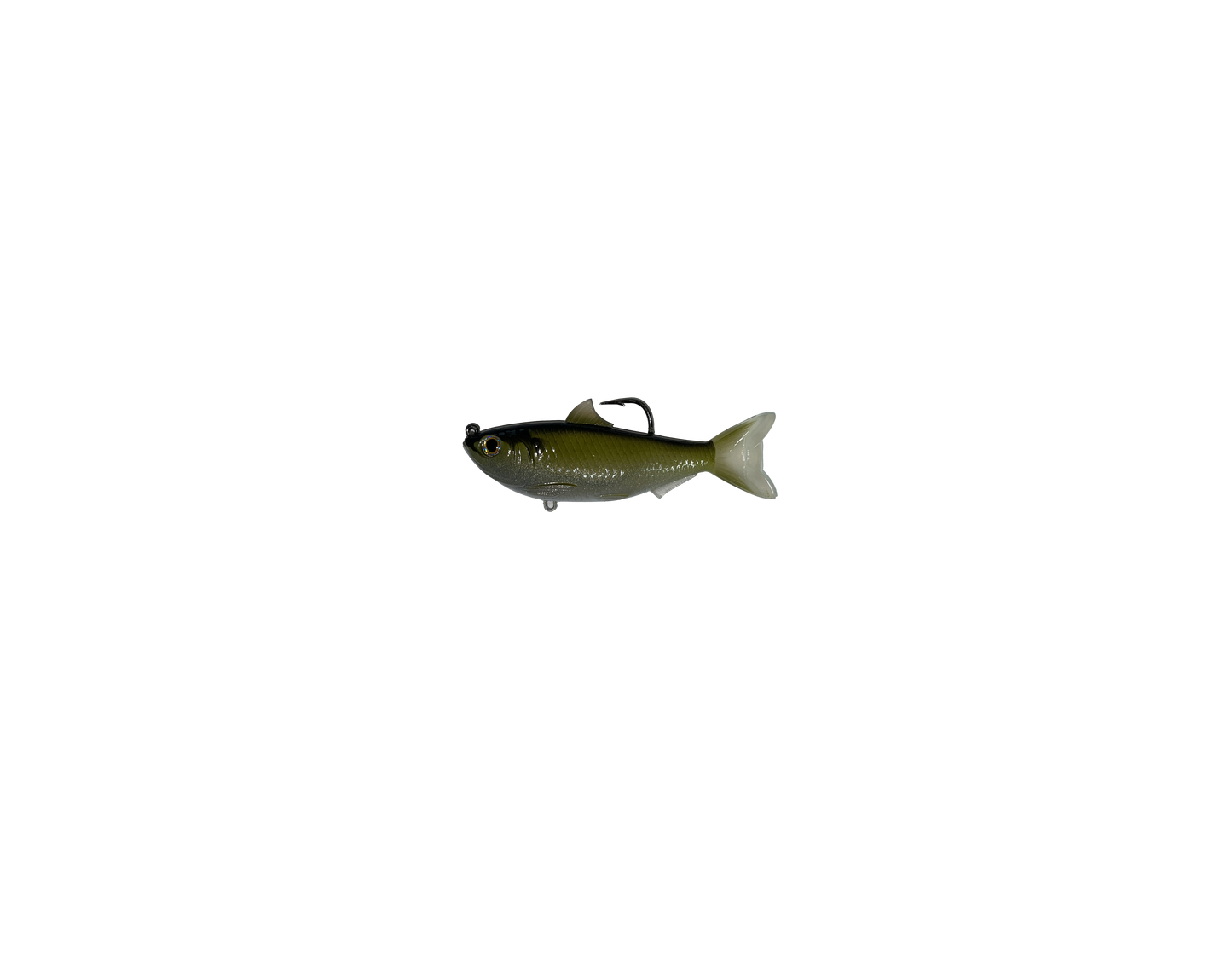 Live Target Threadfin shad