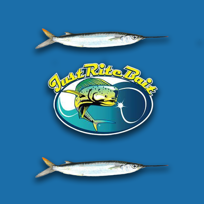 ballyhoo reel big fish Just Rite Ballyhoo