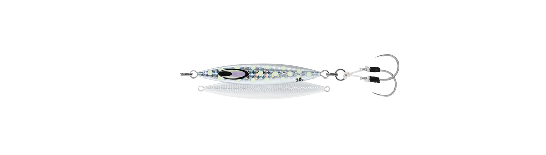 DAIWA SALTIGA SK JIGS 250 G