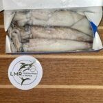 Squid (1lb, 3lb, 5lb)