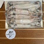 Squid (1lb, 3lb, 5lb)