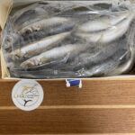 Cigar minnows (5lb)