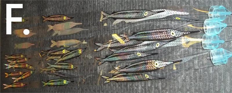 Replacement Stripteasers - Ballyhoo & Baitfish