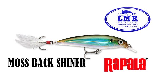 Rapala X-Rap Xtreme Action Slashbait - Size: XR08 & XR10