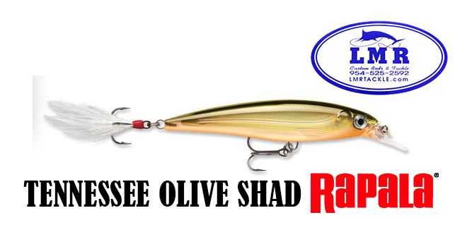 Rapala X-Rap Xtreme Action Slashbait - Size: XR08 & XR10