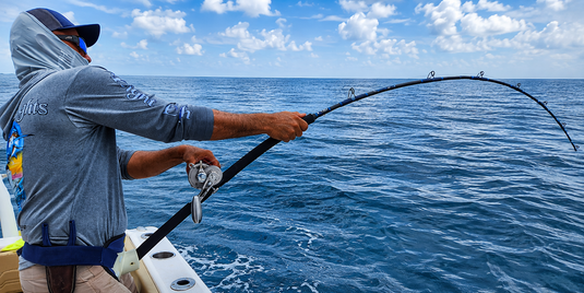 Bottom Fishing
