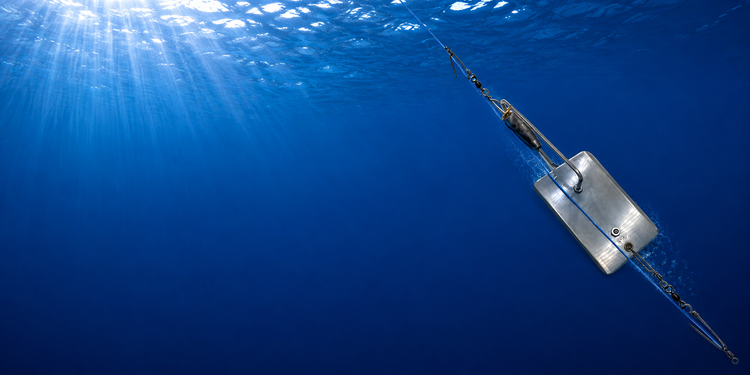 Planer Fishing