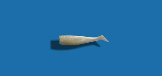 NLBN Paddle Tails