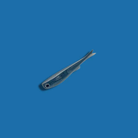 NLBN Mullet