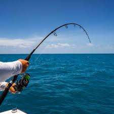 Spinning Rods