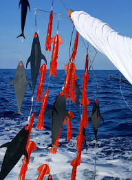 Dredge Baits