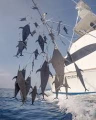 Ready to Fish Dredges