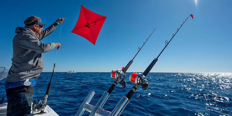 Kite Fishing