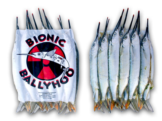 Bionic Bait Ballyhoo | Fresh South Florida Trolling Bait