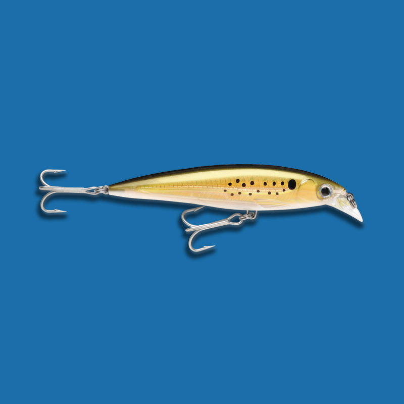 Load image into Gallery viewer, Rapala X-Rap Saltwater Xtreme Action Slashbait - Size: SXR12
