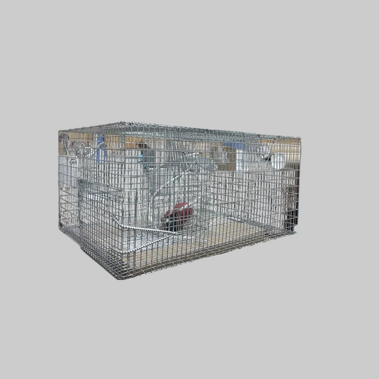 Commercial Pinfish Trap