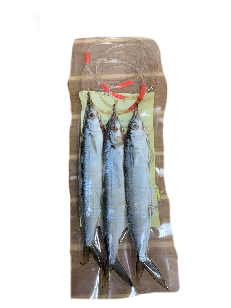 Load image into Gallery viewer, Baitmasters Ballyhoo Rigged
