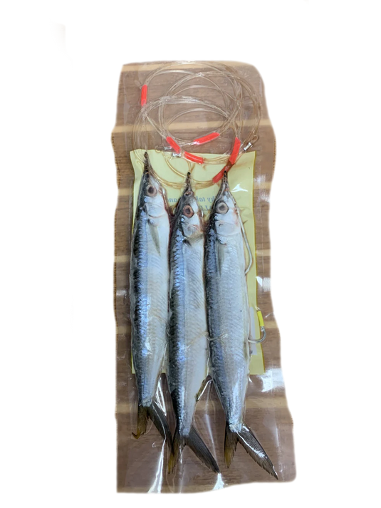 Baitmasters Ballyhoo Rigged