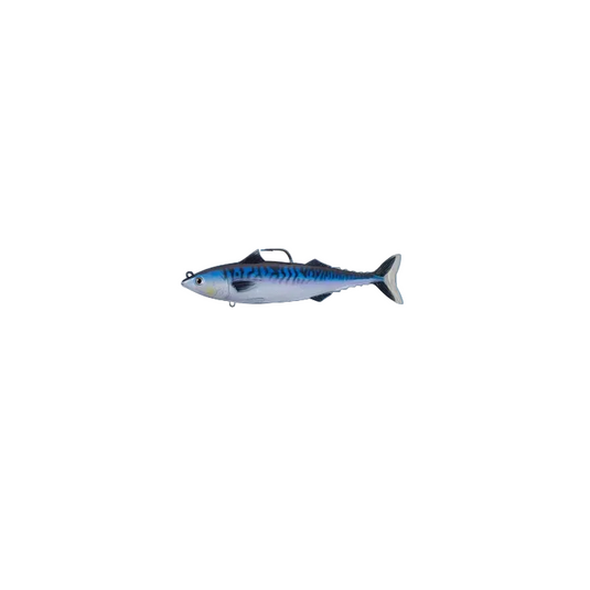 Live Target Atlantic Mackerel
