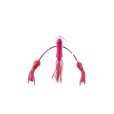 Squid Nation Flippy Floppy