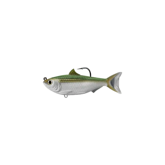 Live Target Sardine