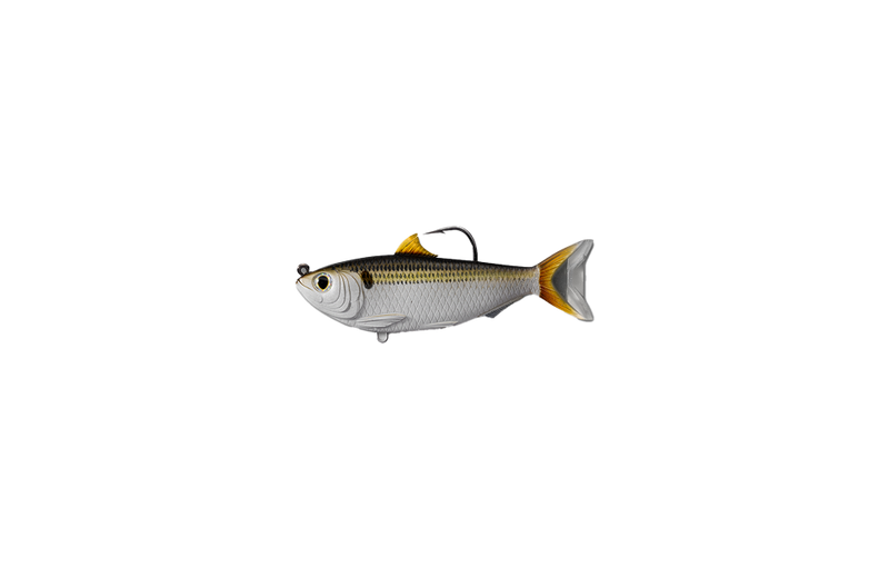 Load image into Gallery viewer, Live Target Sardine
