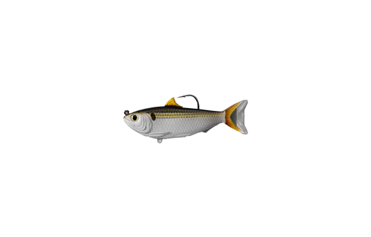 Live Target Sardine