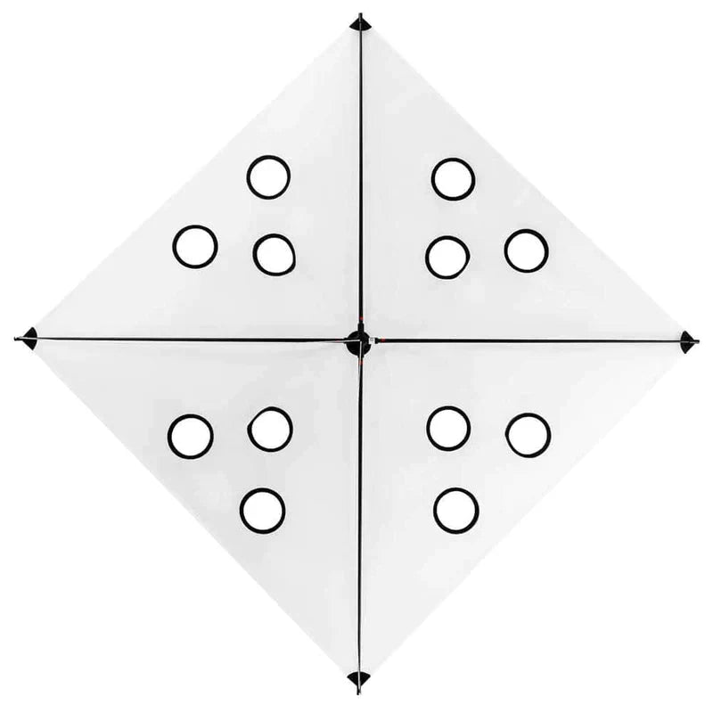 Load image into Gallery viewer, SFE Kites

