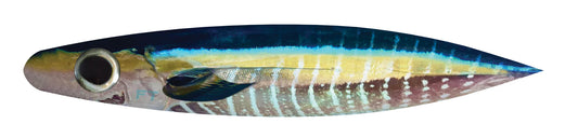 FIRETAILZ 14” Tuna Dredge Strips