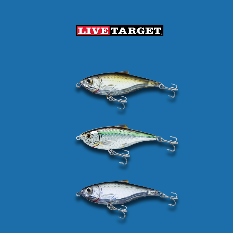 Live target Scaled Sardine Twitch Bait