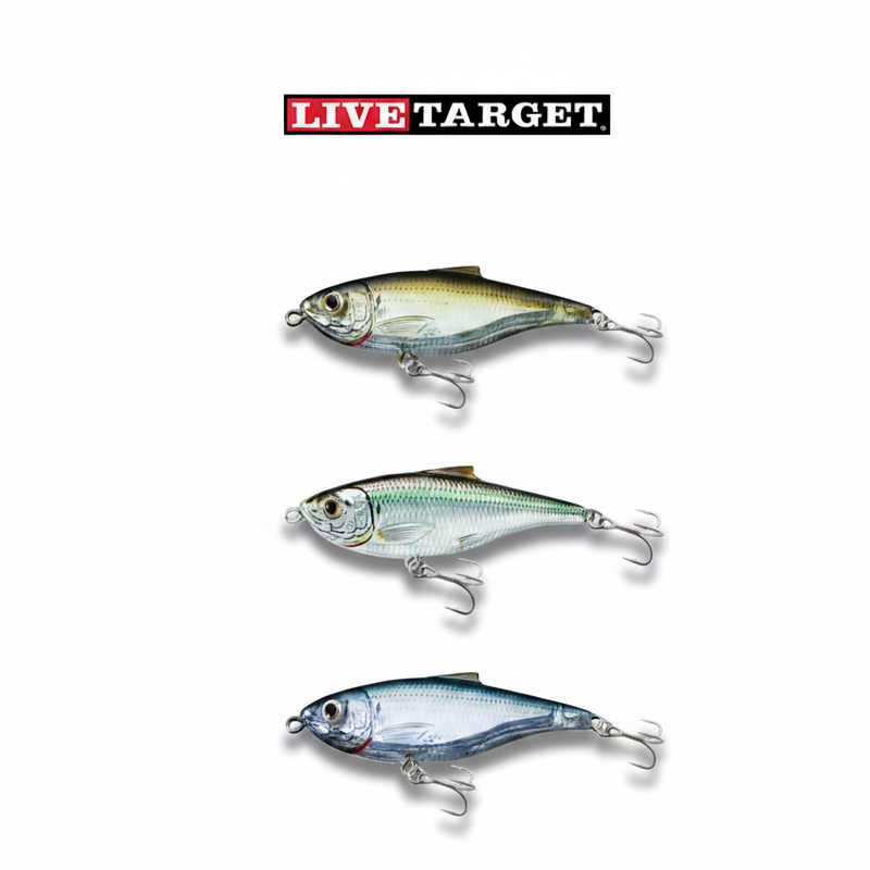 Load image into Gallery viewer, Live Target Scaled Sardine Twitch Bait
