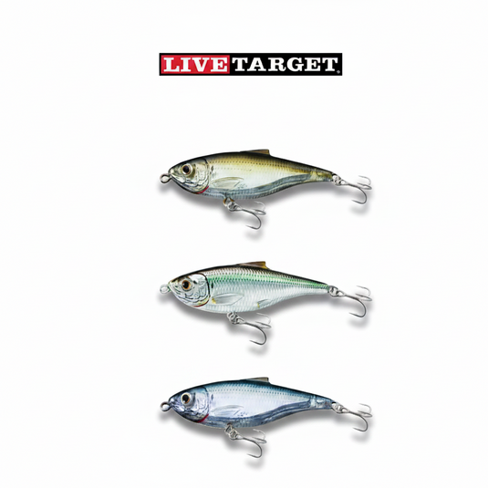 buy fish lure legion Flaming Gorge Lake Trout Kit of 10 Lures the Menaces rounded belly produces an irresistible rocking wobble that mimics a stunned or fleeing baitfish exactly what triggers commitment from big fish Live Target Scaled Sardine Twitchbait