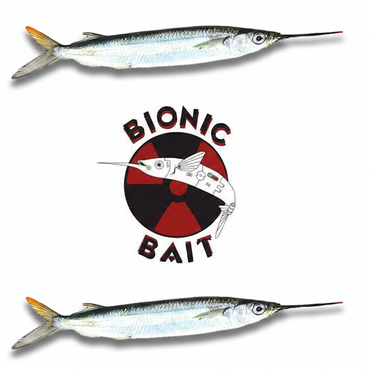Bionic Rigged Ballyhoo