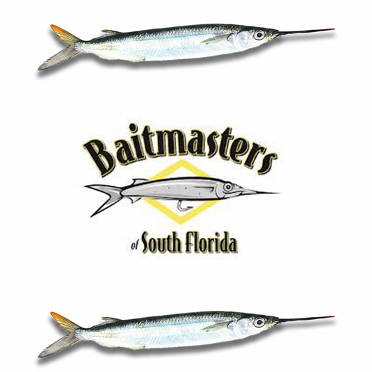 Baitmasters Ballyhoo Case - Rigged - Small Ballyhoo with Single Hooks and Mono Leader