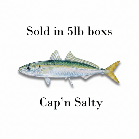 Cigar Minnows (5 lb)