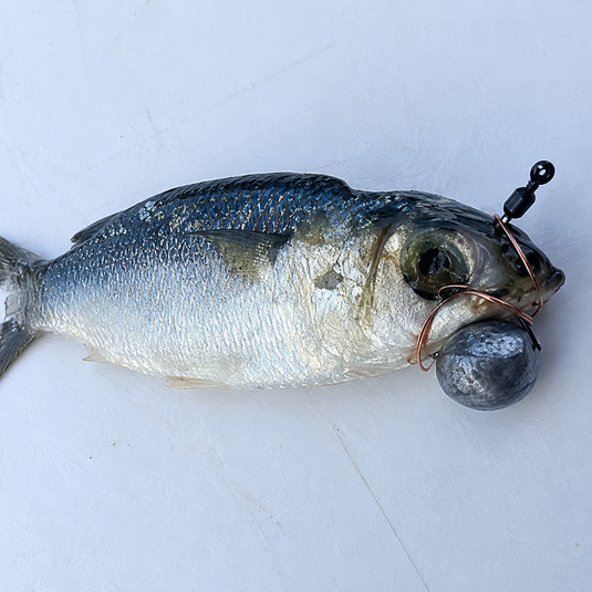 EZ-Bait Rigging Swivel rigged on baitfish with weight and copper wire for offshore fishing