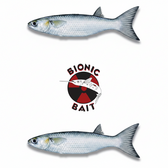 Bionic Mullet