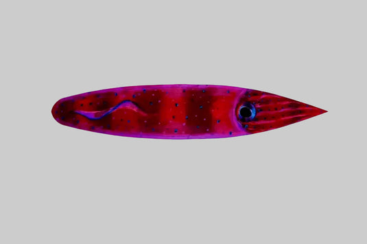 FIRETAILZ 11