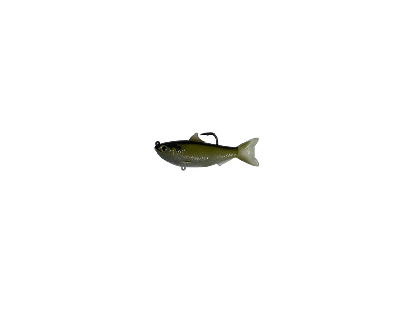 Load image into Gallery viewer, Live Target Threadfin shad
