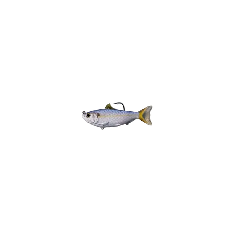 Load image into Gallery viewer, Live Target Threadfin shad
