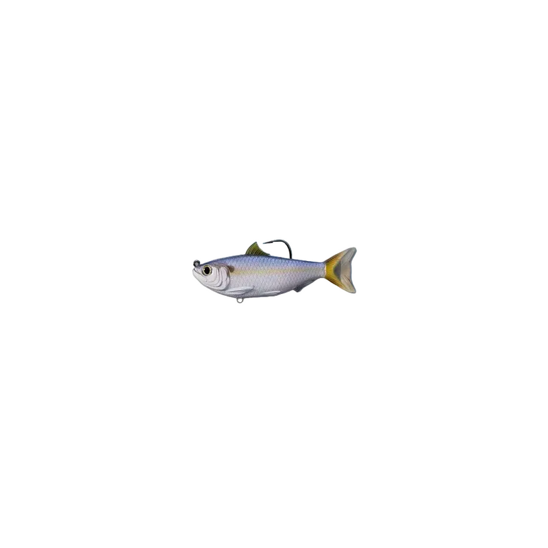 Load image into Gallery viewer, Live Target Threadfin shad
