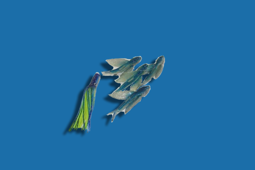 Flying Fish Daisy Chain with Mold Craft Wide Range