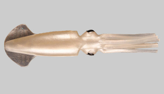 Mold Craft Squirt Squid