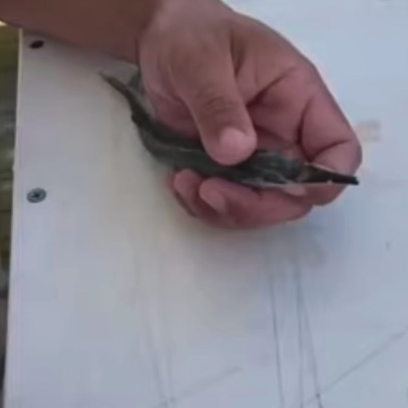 Load and play video in Gallery viewer, Ringer Swivels offshore fishing and bait rigging demonstration video
