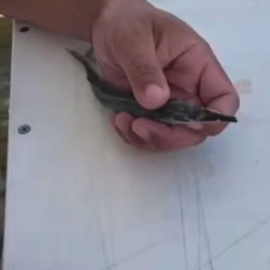 Ringer Swivels offshore fishing and bait rigging demonstration video