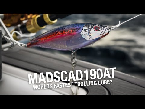 Load and play video in Gallery viewer, Nomad Design Madscad
